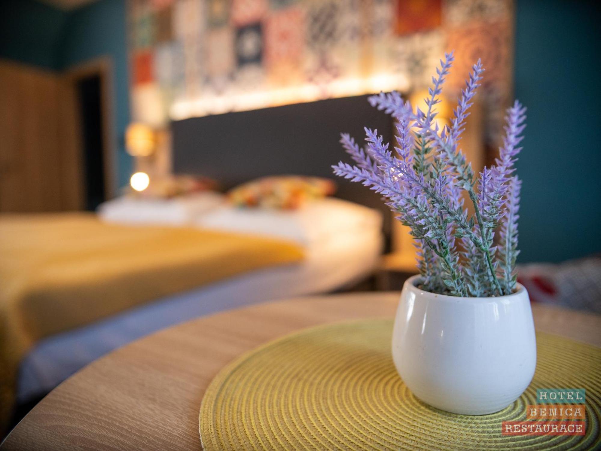 Hotel Benica Benesov  Kültér fotó